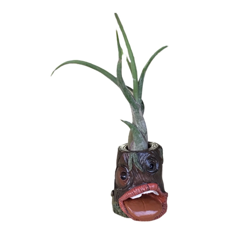 🛑SOLD🛑Handmade airplant holder